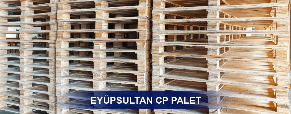 Eyüpsultan Standart Tipler