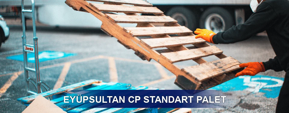 Eyüpsultan Fiyatlandırma
