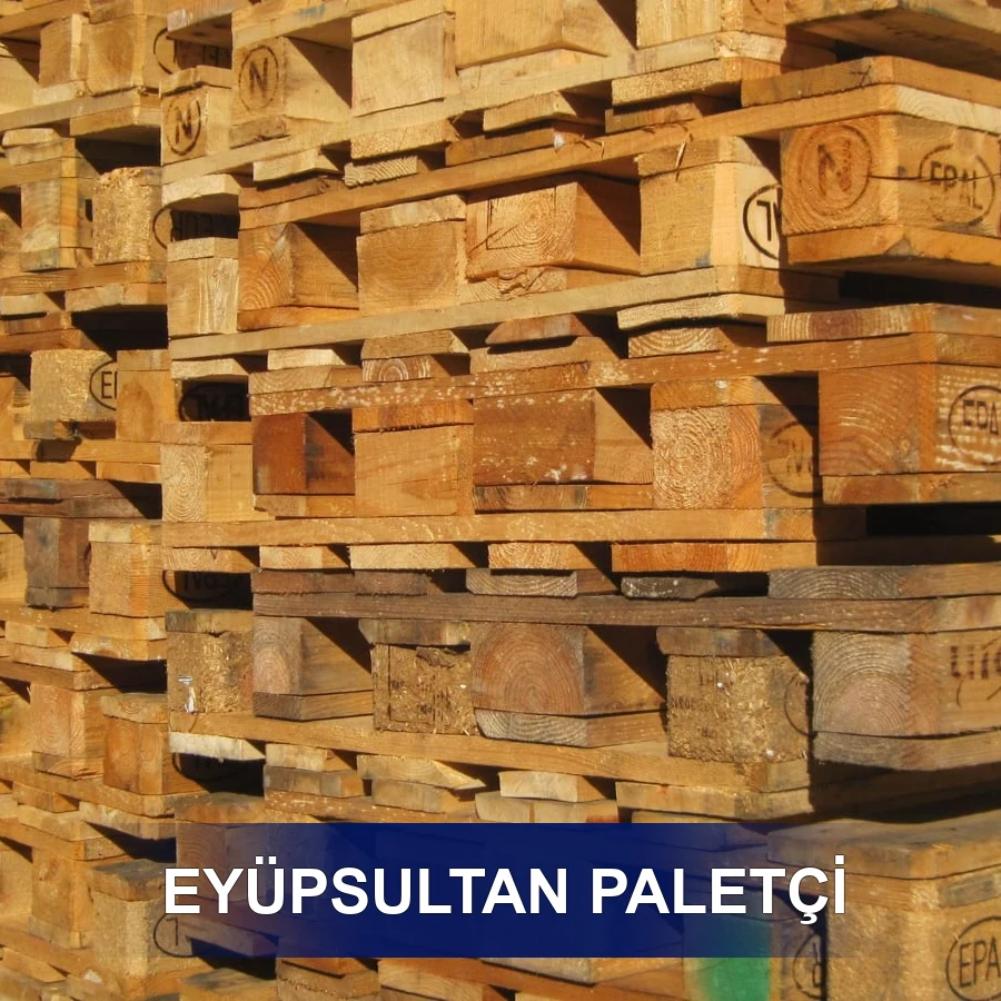 Eyüpsultan Paletçi